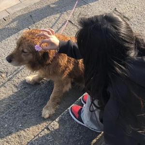 少妇欧美三级片
