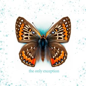 少妇欧美三级片
